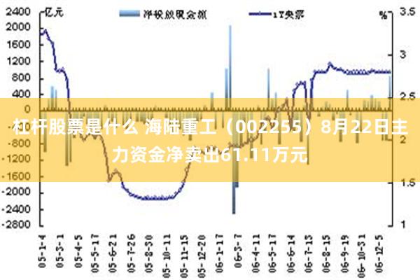 杠杆股票是什么 海陆重工（002255）8月22日主力资金净卖出61.11万元