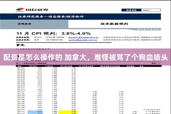 配资是怎么操作的 加拿大，难怪被骂了个狗血喷头