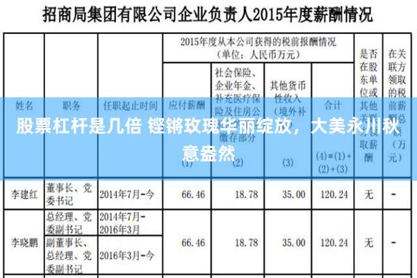 股票杠杆是几倍 铿锵玫瑰华丽绽放，大美永川秋意盎然