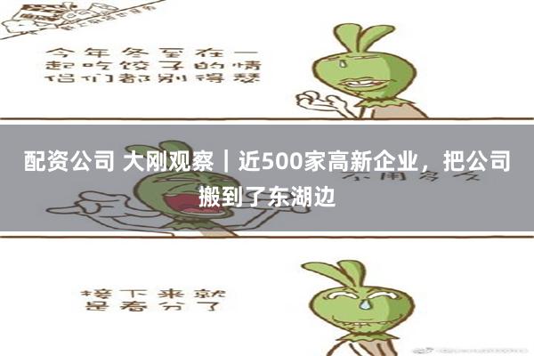 配资公司 大刚观察｜近500家高新企业，把公司搬到了东湖边