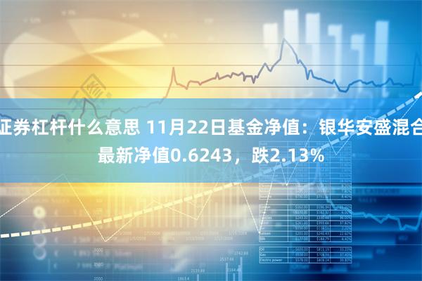 证券杠杆什么意思 11月22日基金净值：银华安盛混合最新净值0.6243，跌2.13%